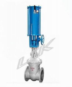 进口气动闸阀：德国莱克品牌的卓越性能与应用